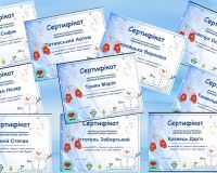 Вікторина «Зимовий кошик здоров’я»