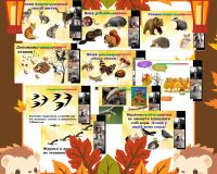 Пізнавальний урок з предмета «Я досліджую світ»