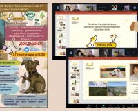 Відповідальне ставлення до тварин