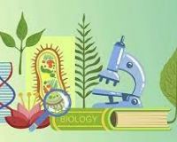 Уроки біології синхронно