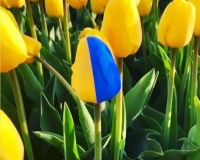 Весняні талановиті зірочки Херсонського Таврійського ліцею