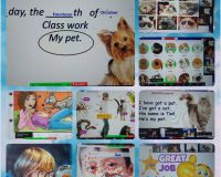 Англійська мова в 5-х класах із Світланою ЯКІВ'ЮК