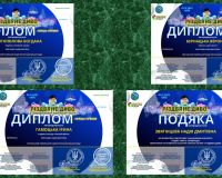 III Всеукраїнський конкурс мистецтв 