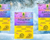 Всеукраїнський багатожанровий конкурс мистецтв «МИСТЕЦТВО ПІД ЯЛИНКУ»